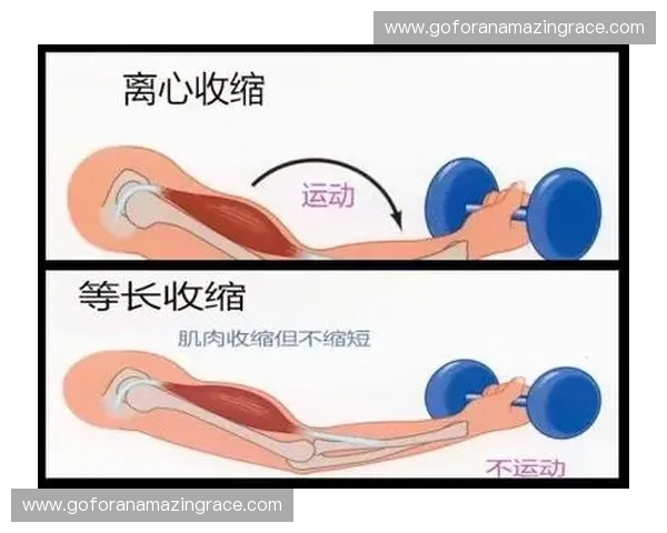 深入探索等长收缩在训练与康复中的科学原理与实践应用全面解析